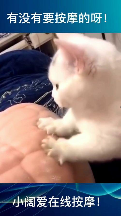 按摩小视频在线观看,跟随按摩小视频，在家享受专业级舒缓体验